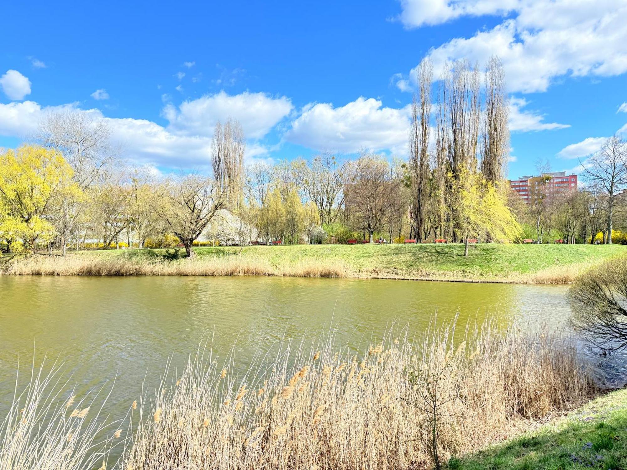 Apartament Superior Wlodarzewska, 2 Rooms, 1 Bedroom, Parking! 24h Reception! Warszawa
